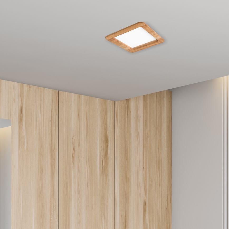 LED Vgradna svetilka WOODY SPOT LED/17W/230V 3000K hrast 18,5x18,5 cm