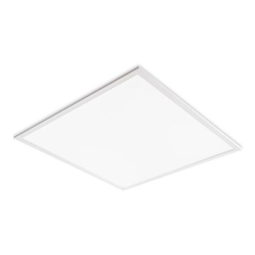 LED vgradni panel za spuščeni strop DAVRO LED/40W/230V 4000K 59,5x59,5 cm bel