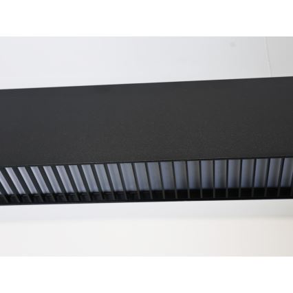 LED viseča svetilka na kablu LED/55W/230V 3000/4000/6500K 120 cm črna