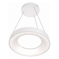 LED viseči lestenec na kablu DRAX LED/32W/230V 4000K, premer 38 cm, bela