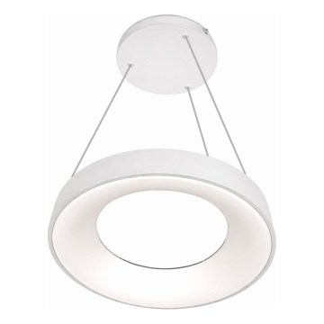 LED viseči lestenec na kablu DRAX LED/32W/230V 4000K, premer 38 cm, bela