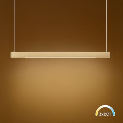 LED viseči lestenec na kablu LINEA LED/36W/230V 3000/4000/5700K CRI 90 zlata