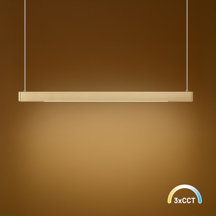 LED viseči lestenec na kablu LINEA LED/36W/230V 3000/4000/5700K CRI 90 zlata