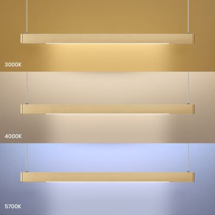 LED viseči lestenec na kablu LINEA LED/36W/230V 3000/4000/5700K CRI 90 zlata