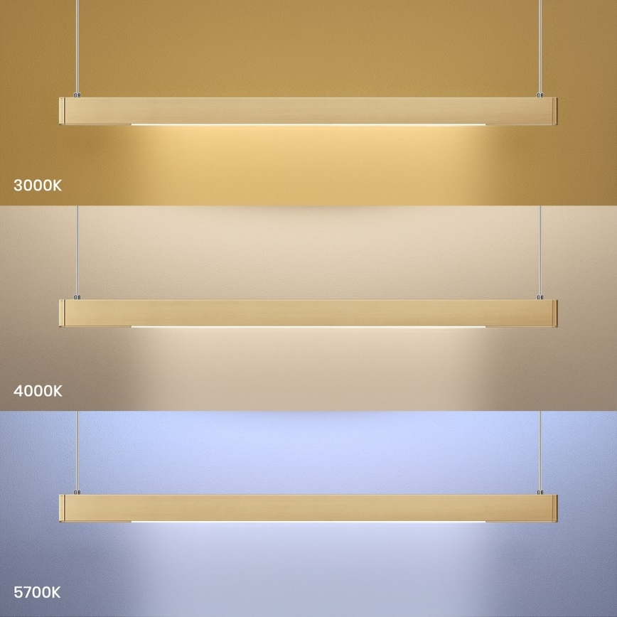 LED viseči lestenec na kablu LINEA LED/36W/230V 3000/4000/5700K CRI 90 zlata
