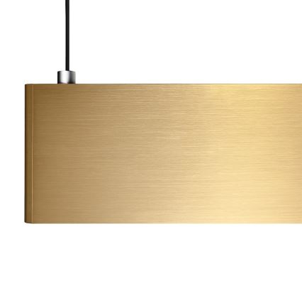LED viseči lestenec na kablu LINEA LED/36W/230V 3000/4000/5700K CRI 90 zlata