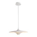 LED viseči lestenec na kablu RENE LED/19W/230V CRI 90 bela