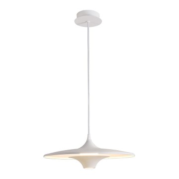 LED viseči lestenec na kablu RENE LED/19W/230V CRI 90 bela