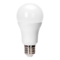 LED žarnica A60 E27/23W/230V 6500K - Aigostar