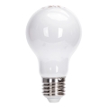 LED žarnica A60 E27/8W/230V 330° 6500K - Aigostar