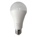 LED Žarnica A65 E27/18W/230V 4200K