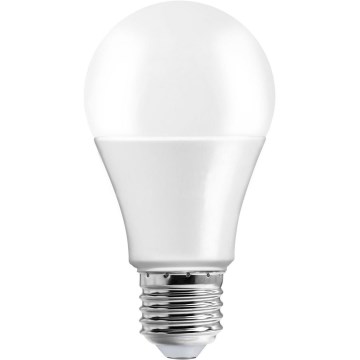 LED žarnica A70 E27/17W/230V 6500K