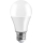 LED žarnica A70 E27/17W/230V 6500K
