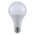 LED Žarnica A80 E27/20W/230V 3000K