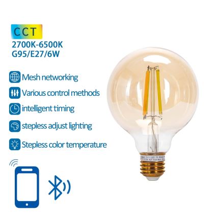 LED Zatemnitvena žarnica FILAMENT MESH Pametni G95 E27/6W/230V 2700-6500K - Aigostar