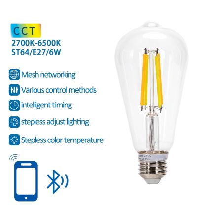 LED Žarnica FILAMENT ST64 E27/6W/230V 2700-6500K - Aigostar