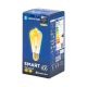 LED Žarnica FILAMENT ST64 E27/6W/230V 2700-6500K - Aigostar