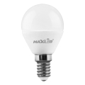 LED Žarnica G45 E14/7W/230V 4000K