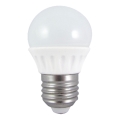LED Žarnica G45 E27/6W/230V 6500K