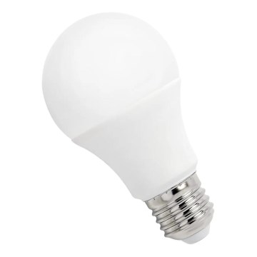 LED žarnica GLS A60 E27/4,9W/230V 6000K