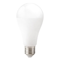 LED žarnica GS E27/22W/230V 3000K
