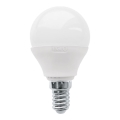 LED žarnica P45 E14/3W/230V 3000K - Eglo 10819