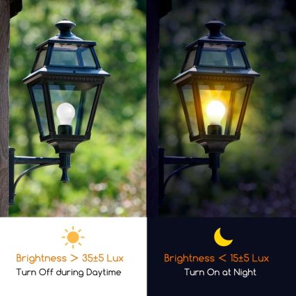 LED Žarnica s senzorjem mraka ECOLINE A60 E27/12W/230V 3000K -  Brilagi