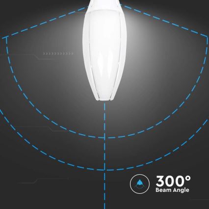 LED Žarnica SAMSUNG CHIP E40/60W/230V 4000K