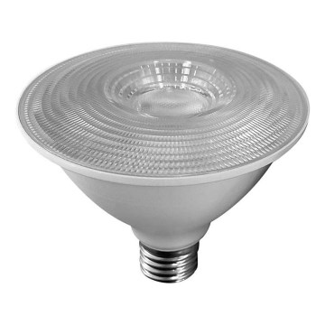 LED Žarnica SAMSUNG CHIP PAR30 E27/11W/230V 6500K