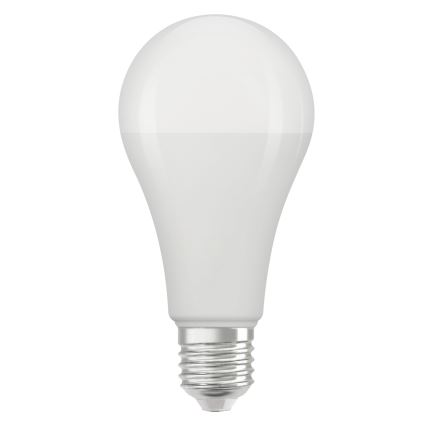 LED žarnica STAR E27/19W/230V 6500K - Osram