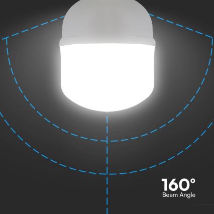 LED Žarnica T120 E27/40W/230V 6500K