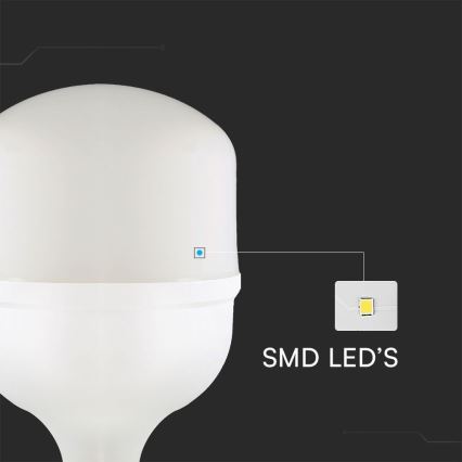LED žarnica T160 E27/60W/230V 6500K