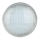 LED Žarnica za bazen LED/35W/12V IP68 6500K