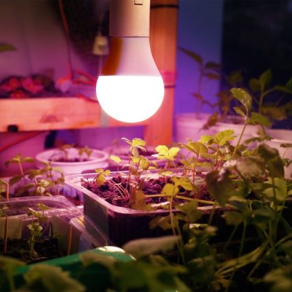 LED Žarnica za rast rastlin PLANTY E27/11W/230V 1200K bela