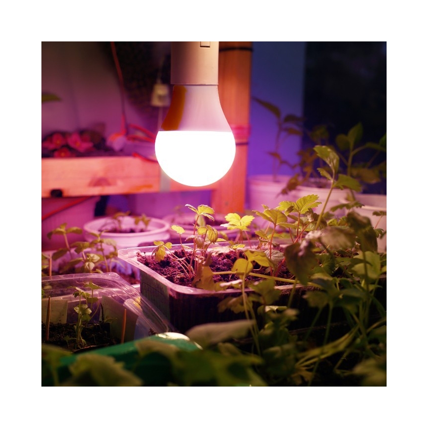 LED Žarnica za rast rastlin PLANTY E27/11W/230V 1200K bela