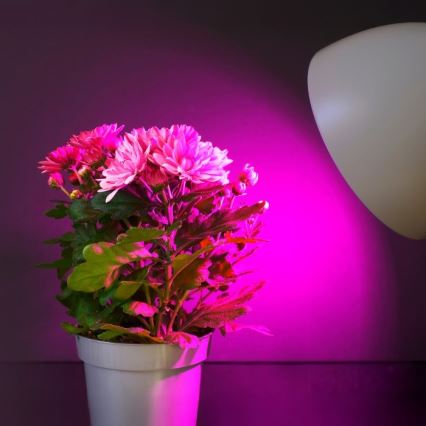 LED Žarnica za rast rastlin PLANTY E27/11W/230V 1200K bela
