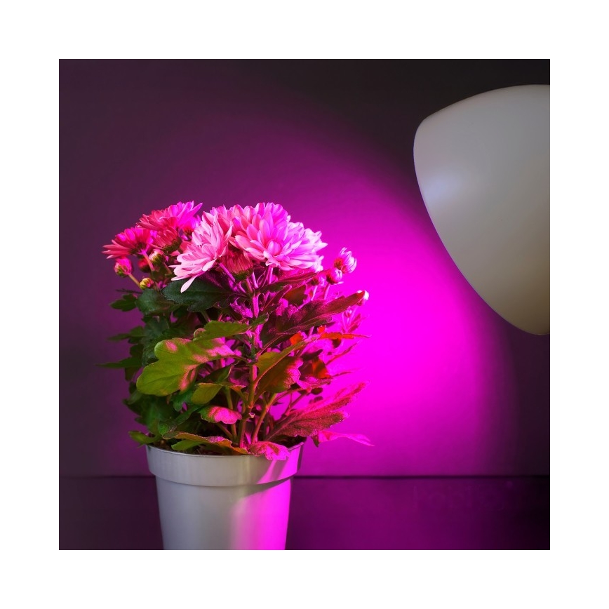 LED Žarnica za rast rastlin PLANTY E27/11W/230V 1200K bela