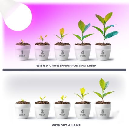 LED Žarnica za rast rastlin PLANTY E27/11W/230V 1200K bela
