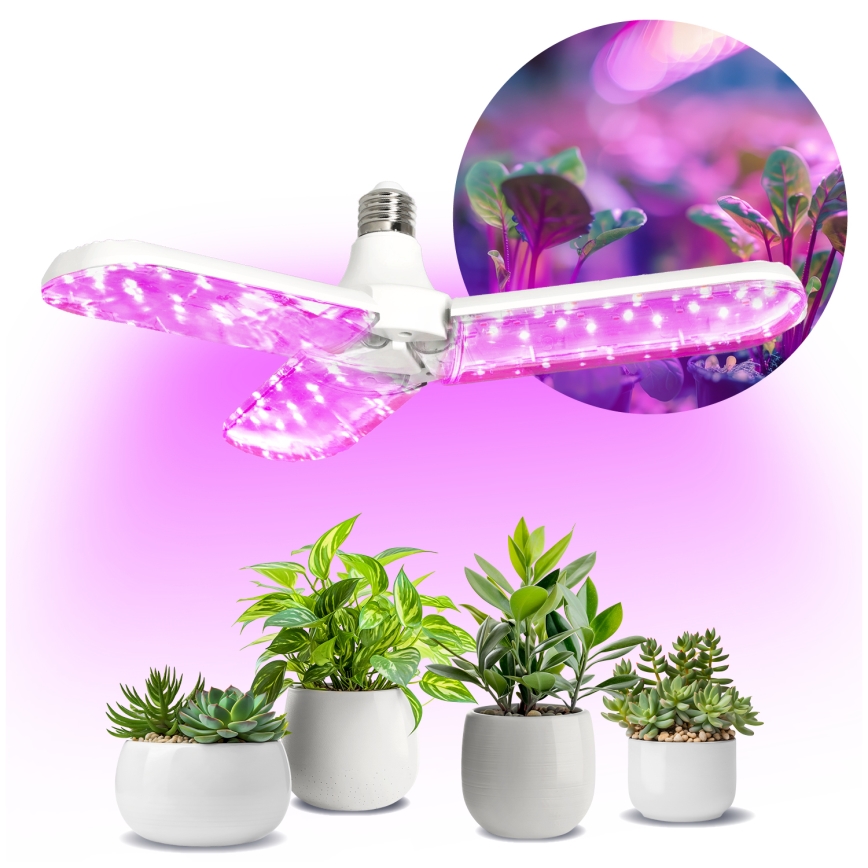 LED Žarnica za rast rastlin PLANTY E27/24W/230V 1200K