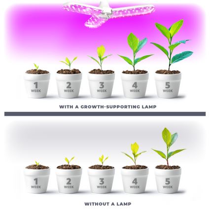 LED Žarnica za rast rastlin PLANTY E27/24W/230V 1200K