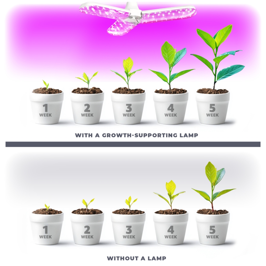 LED Žarnica za rast rastlin PLANTY E27/24W/230V 1200K