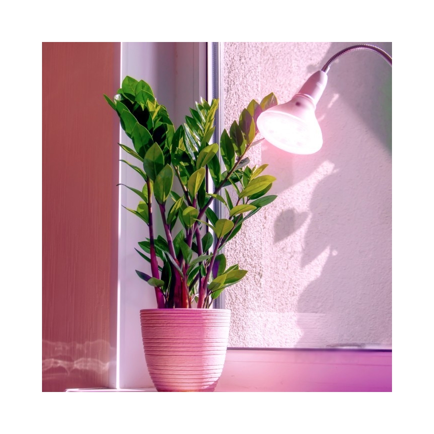 LED Žarnica za rast rastlin PLANTY E27/7W/230V 1200K bela
