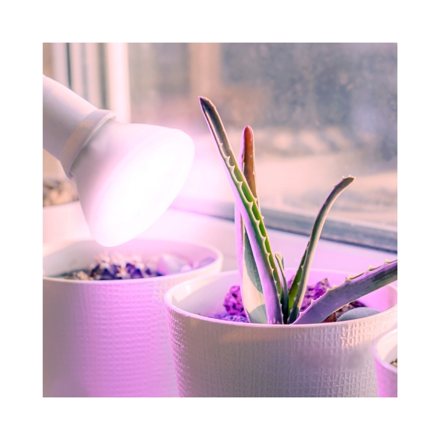 LED Žarnica za rast rastlin PLANTY E27/7W/230V 1200K bela