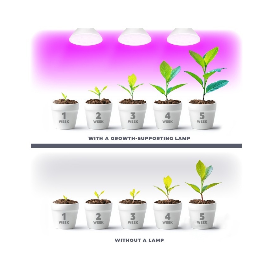 LED Žarnica za rast rastlin PLANTY E27/7W/230V 1200K bela