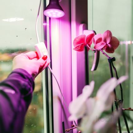 LED Žarnica za rast rastlin PLANTY E27/7W/230V 1200K črna