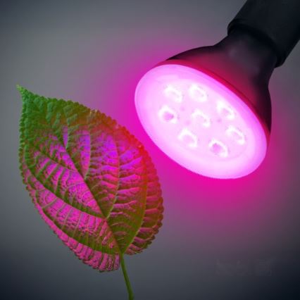 LED Žarnica za rast rastlin PLANTY E27/7W/230V 1200K črna