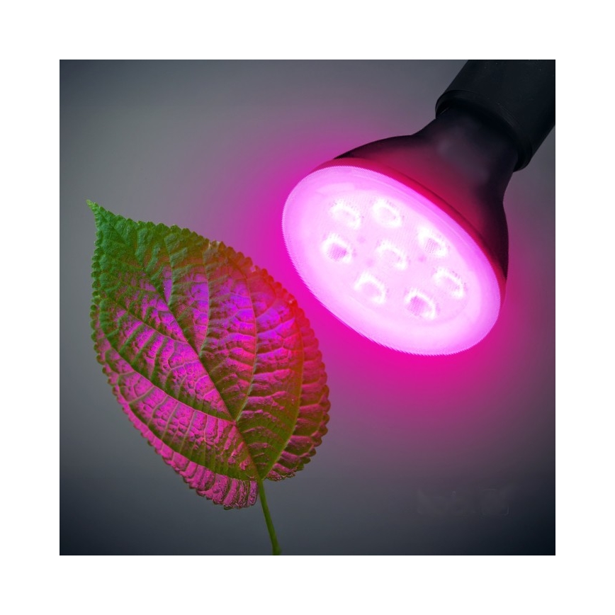 LED Žarnica za rast rastlin PLANTY E27/7W/230V 1200K črna