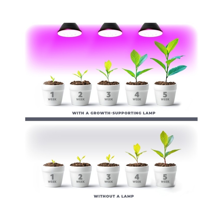 LED Žarnica za rast rastlin PLANTY E27/7W/230V 1200K črna