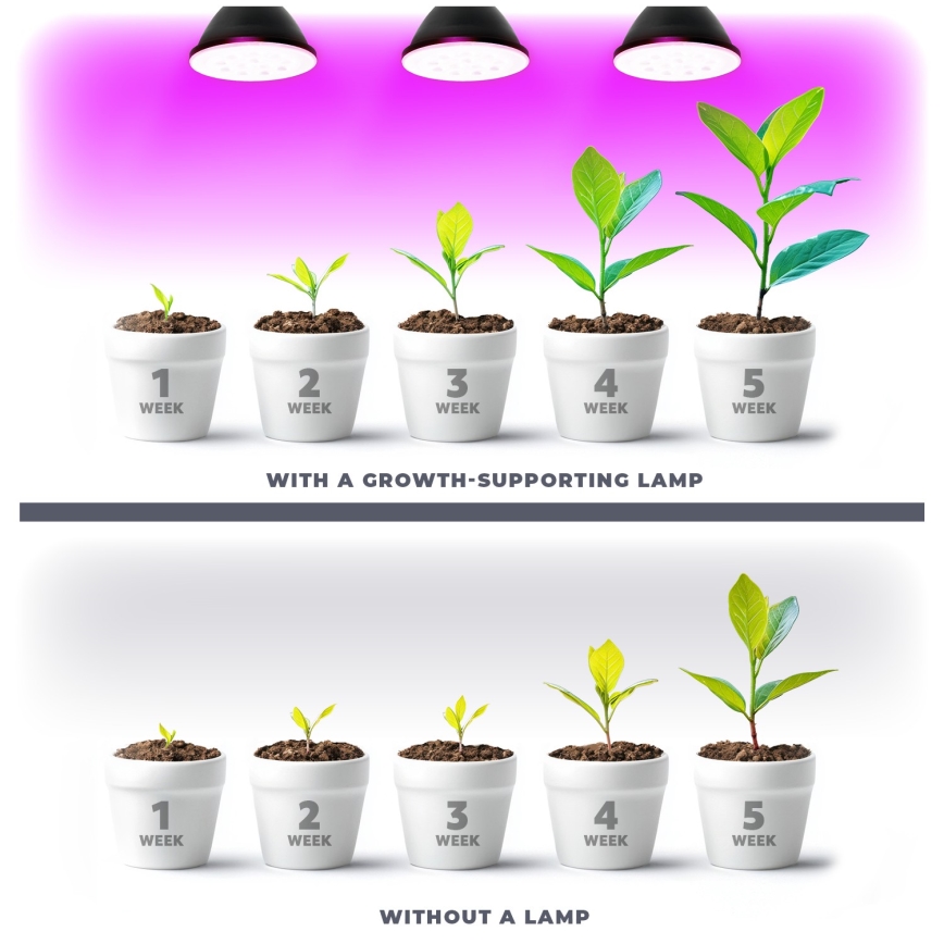 LED Žarnica za rast rastlin PLANTY E27/9W/230V 1200K črna
