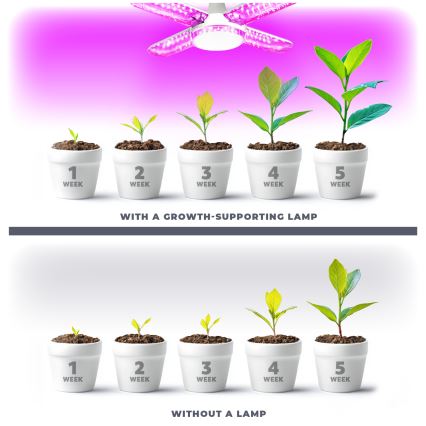 LED Žarnica za rast rastlin VITABLOOM E27/40W/230V 1200K - Brilagi